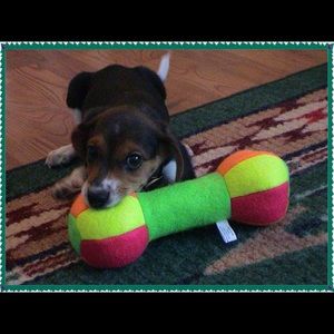 Meet your Posher, Leslie